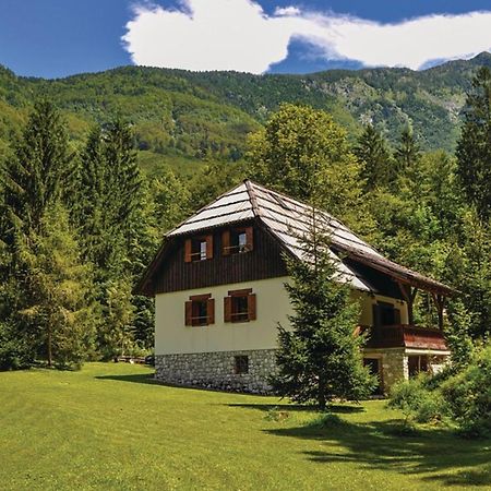 Chalet Primus Near Soca Gorge - Happy Rentals 外观 照片