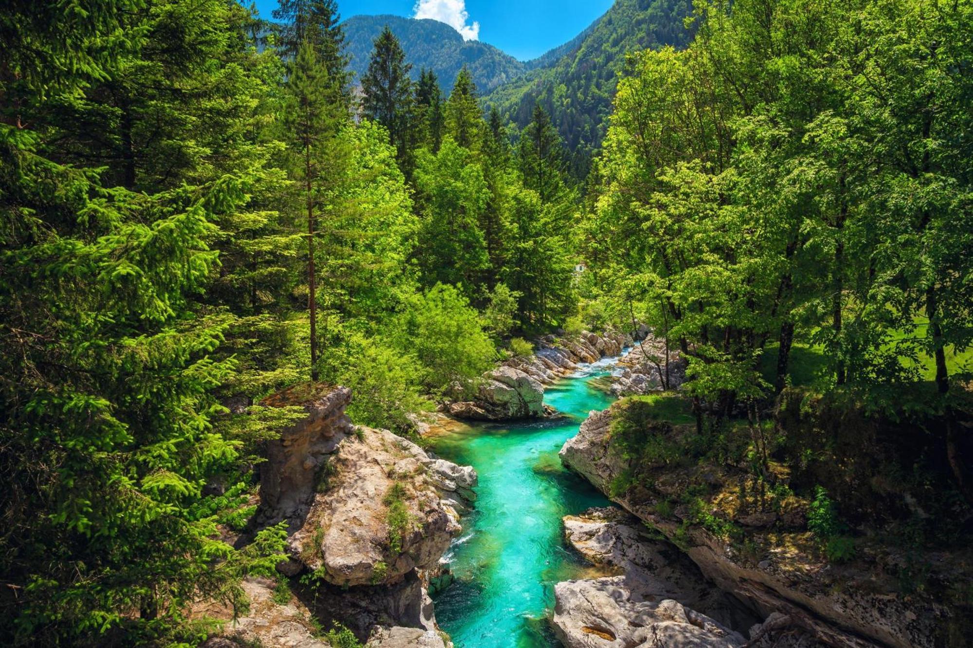 Chalet Primus Near Soca Gorge - Happy Rentals 外观 照片